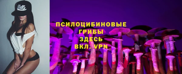 скорость Абаза