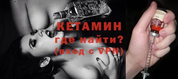 индика Алексин