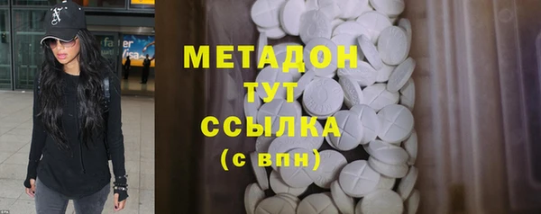 индика Алексин