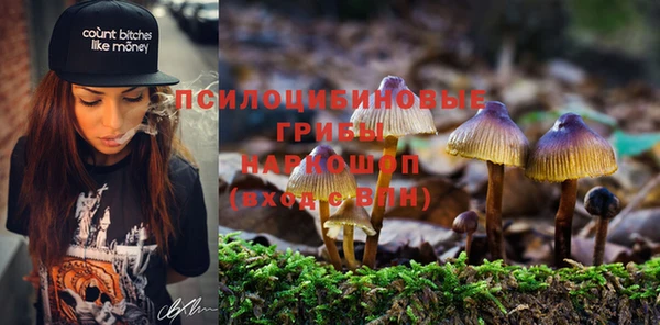 шишки Абдулино