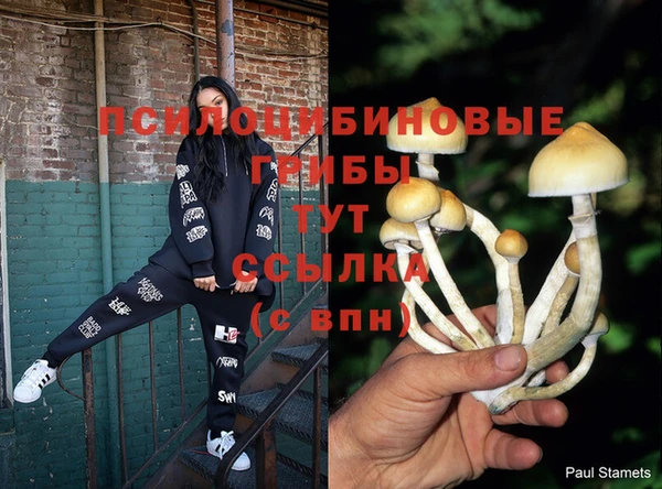дживик Абинск