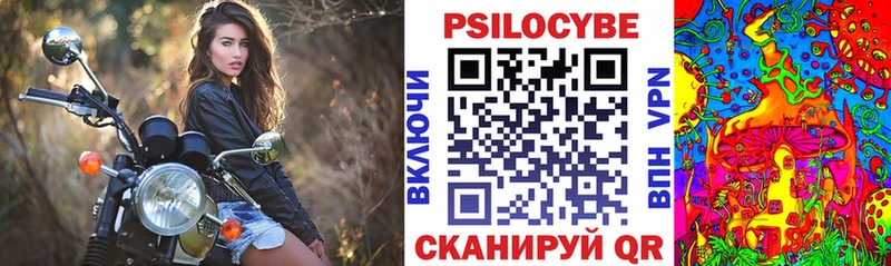 Псилоцибиновые грибы GOLDEN TEACHER  Каменногорск 